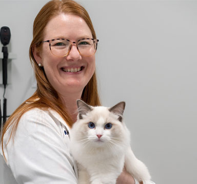 Krystle Reagan, PhD, DVM, DACVIM - President